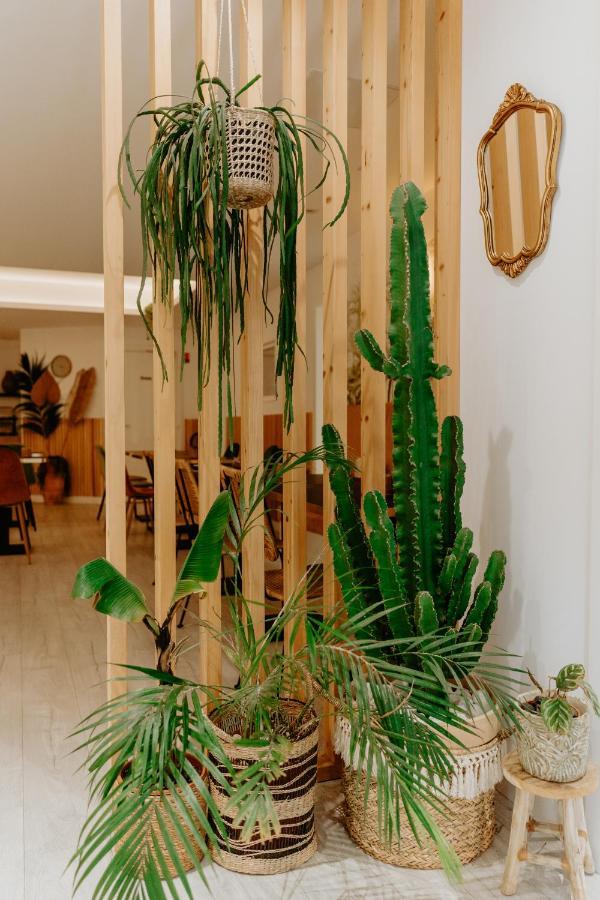 Hotel Palm Boutique